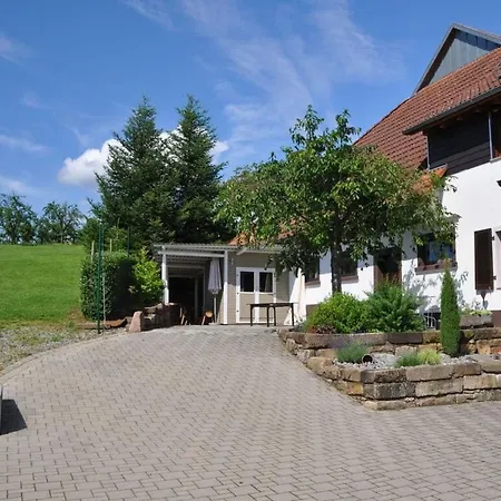 Pleasant In Apartment Zell am Harmersbach