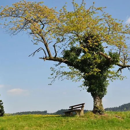 Pleasant In *