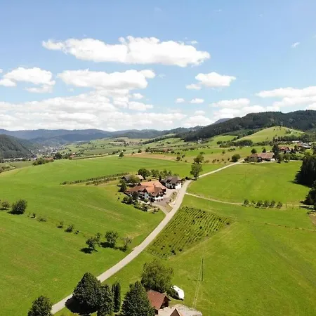 Pleasant In Zell am Harmersbach